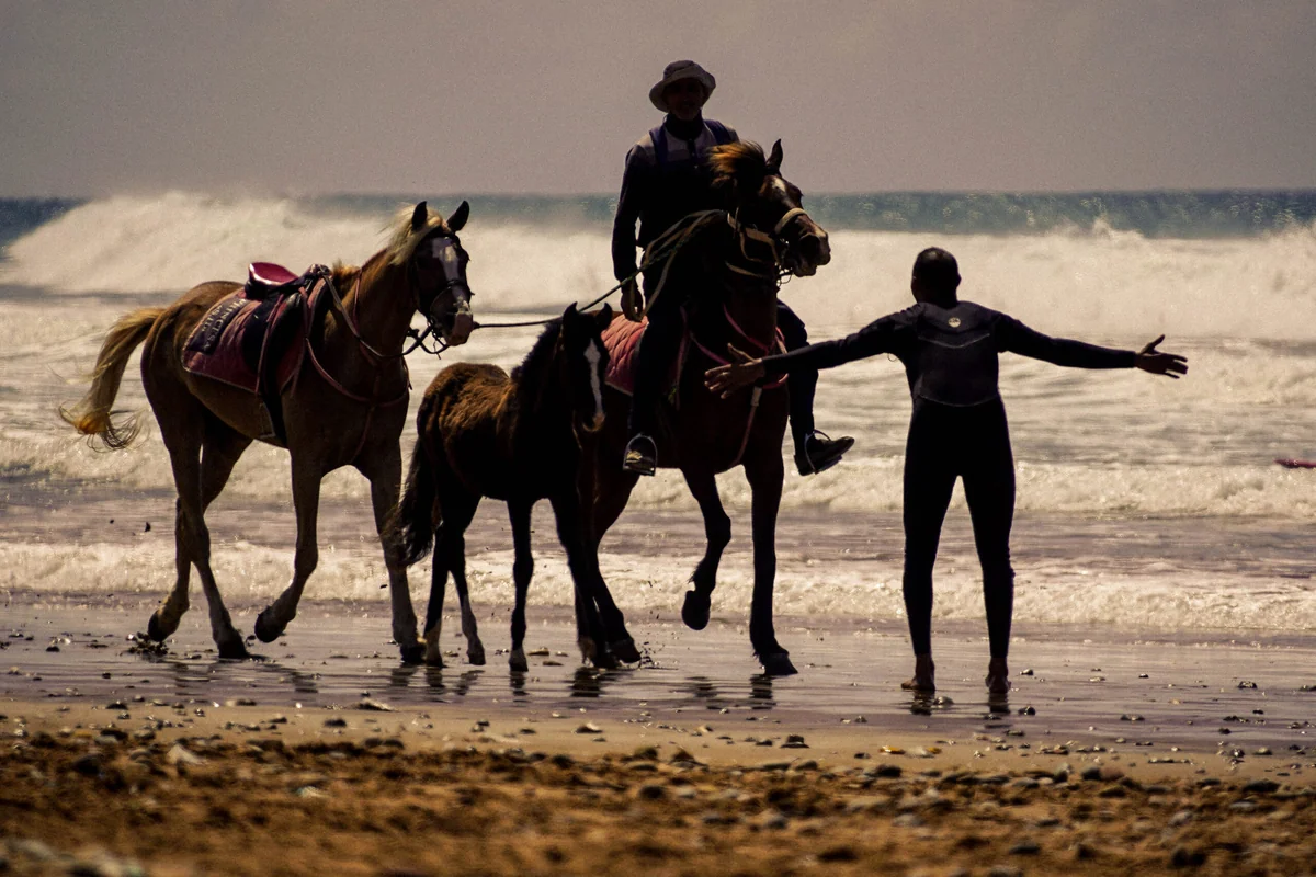 Horse riding on the beach in Morocco